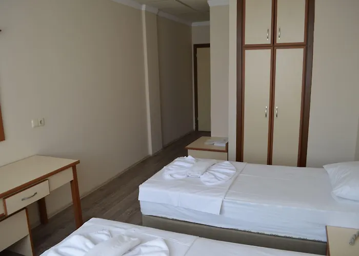 Szálloda Ayvalik Palas Hotel Ayvalı