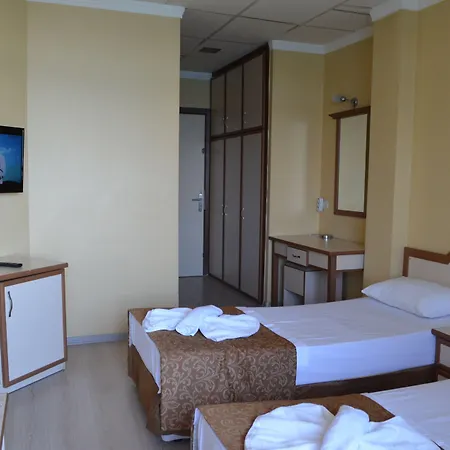 Ayvalik Palas Hotel ホテル 2*