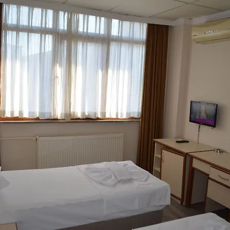 ホテル Ayvalik Palas Hotel 2*