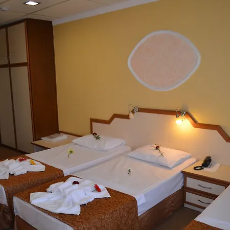 ホテル Ayvalik Palas Hotel 2*