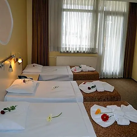 Ayvalik Palas Hotel 2* Ayvalı