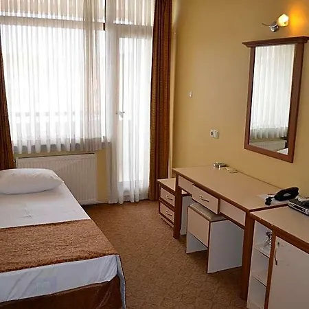 Ayvalik Palas Hotel Hotel 2*