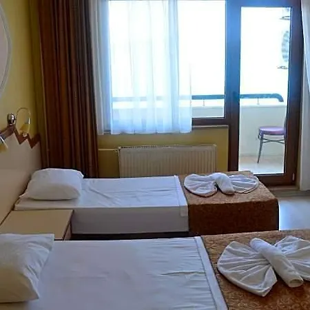 Hotel Ayvalik Palas Hotel 2*