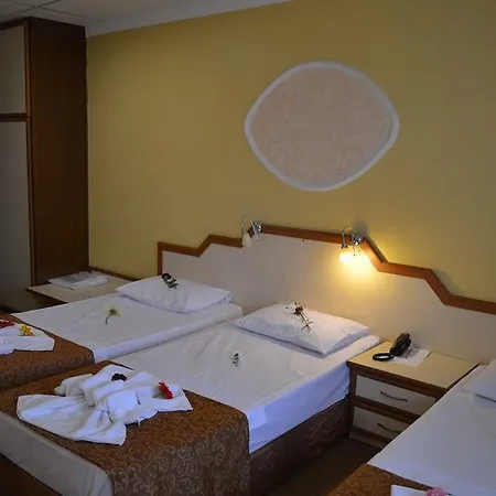 Ayvalik Palas Hotel Hotel Ayvalik