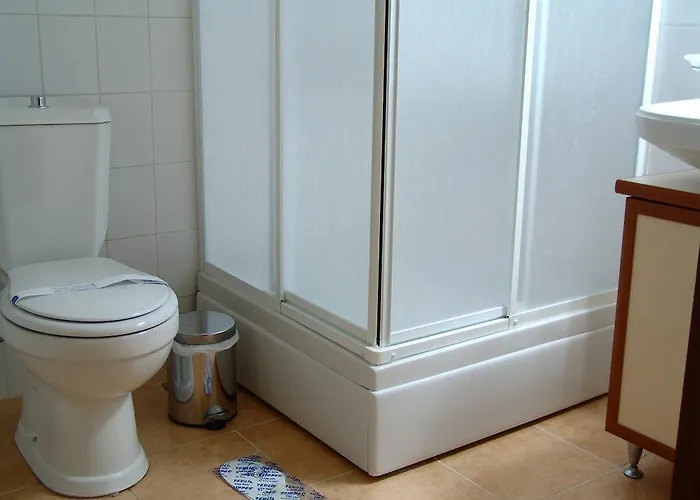 艾瓦勒克宫殿酒店 酒店