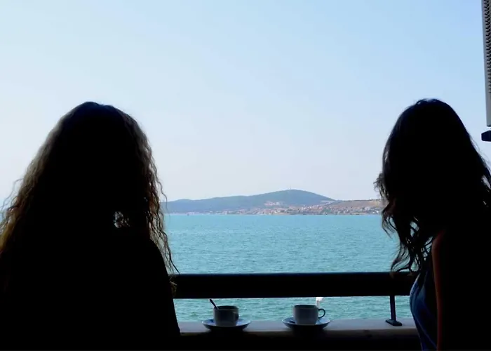 Ayvalik Palas Hotel 2*