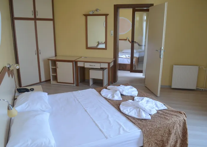 Ayvalik Palas Hotel Hotel 2*