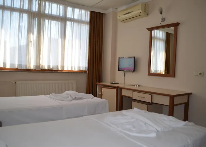 Ayvalik Palas Hotel 2* Ayvalı