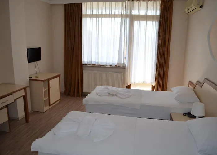 Ayvalik Palas Hotel 2*