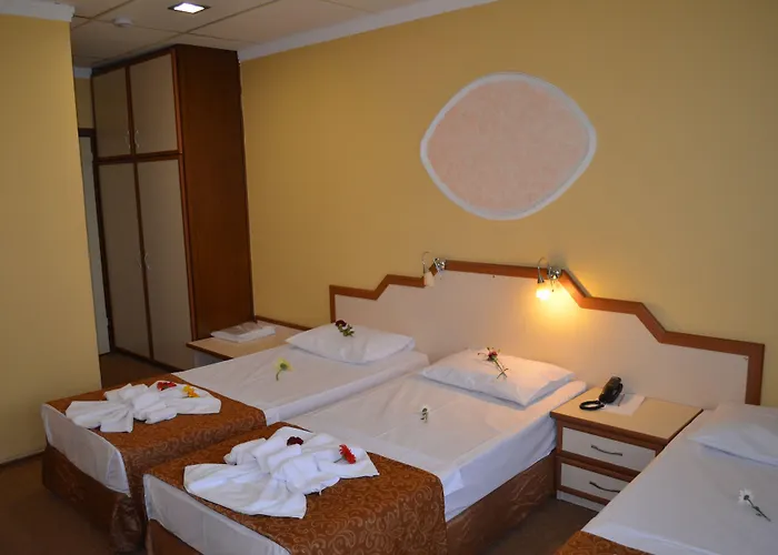 Hotel Ayvalik Palas Hotel 2*