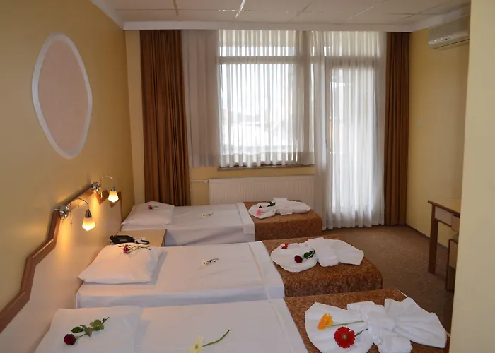 艾瓦勒克宫殿酒店 2*